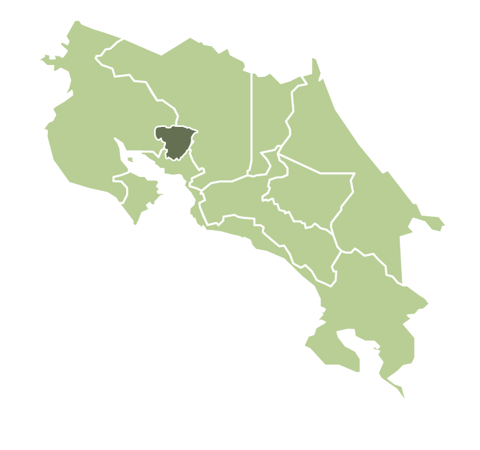 كوستاريكا إل ديامانتي أناروبيك