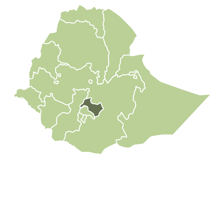 Ethiopia Nensebo Natural