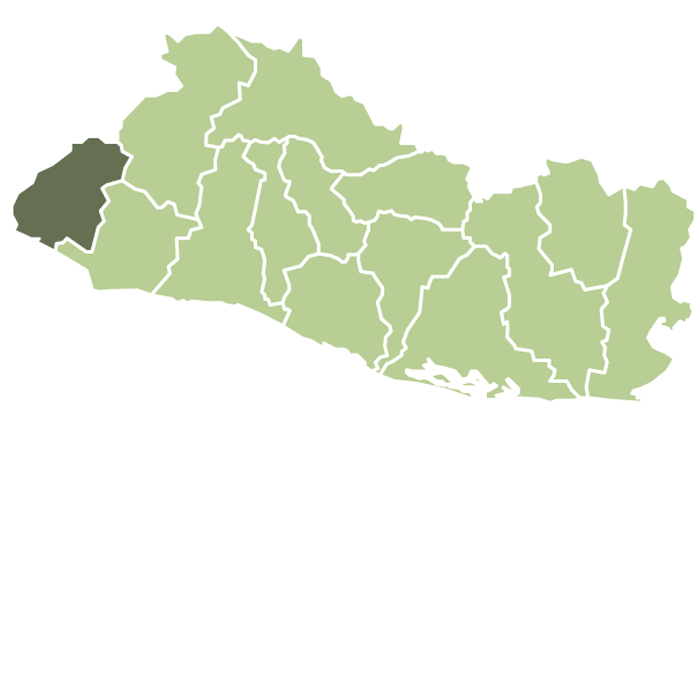 El Salvador Espana Castillo Pacas Anaerobic Natural