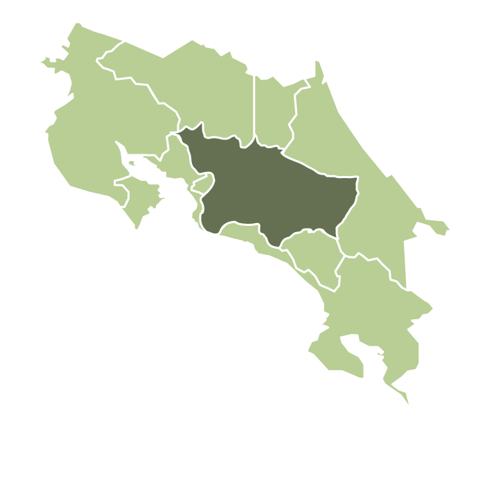 Costa Rica Altura Black Honey