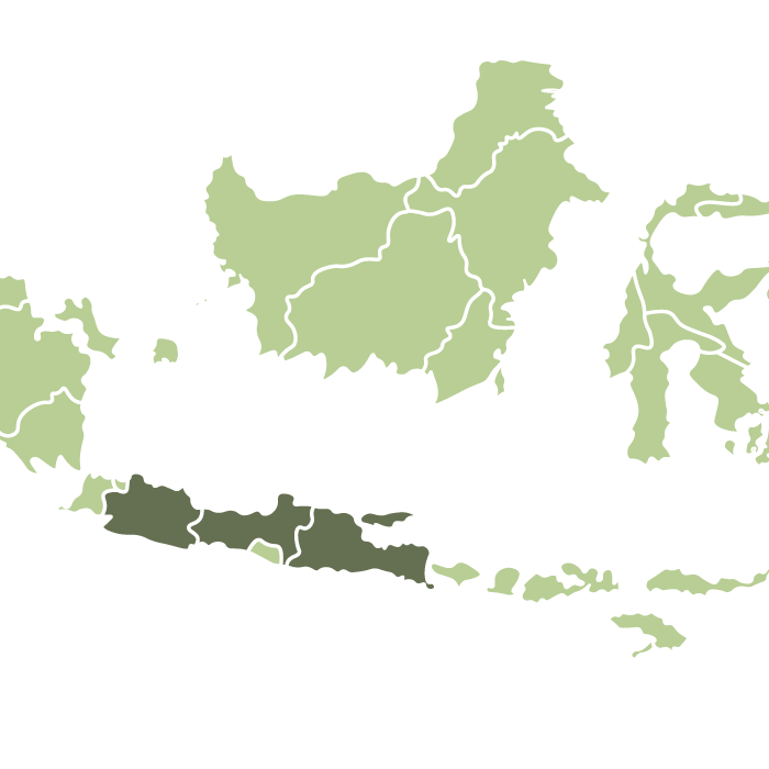 Indonesia Wanoja Anaerobic Natural