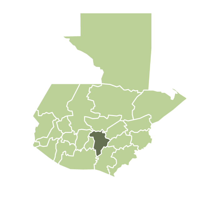 Guatemala Finca Concepción Buena Vista Natural