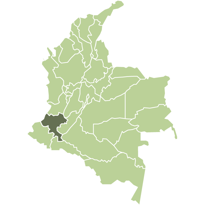 Colombia La Fantasía Natural Anaerobic 