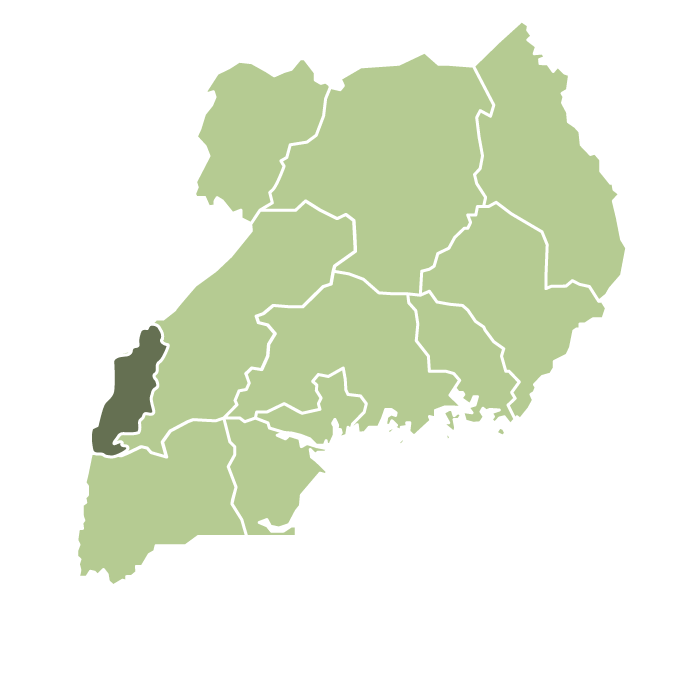 Uganda Gorilla Summit Natural