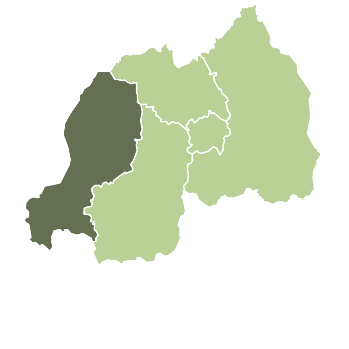 Rwanda Gasharu Anaerobic