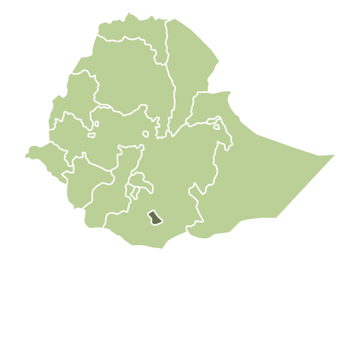 Ethiopia Beloya Anaerobic