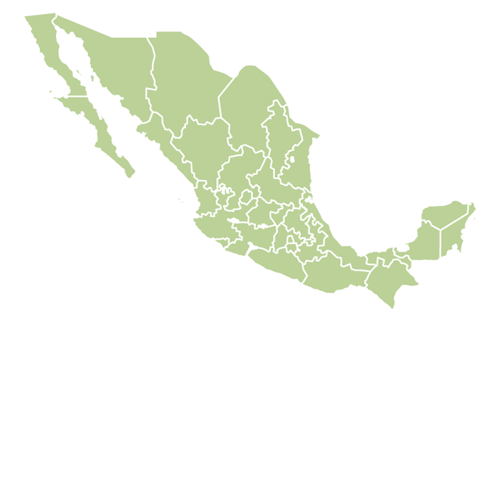 Mexico Decaf  HG EP SWISS WATER ® Process