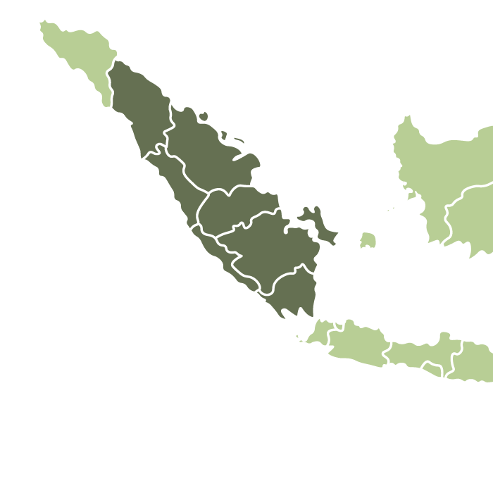 Indonesia Sumatra Bener Meriah Anaerobic Natural
