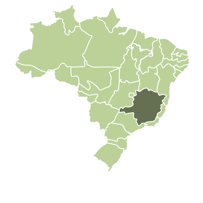 Brazil Fazenda Agua Vermelha Pulped Natural